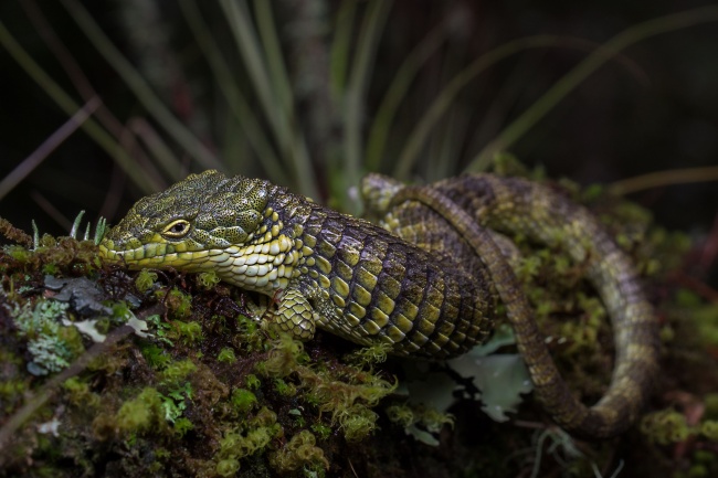 foto:OMAR ISMAEL LAREDO DAZA - lo hecho en México