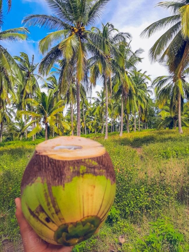 Magali Cortes Portillo 