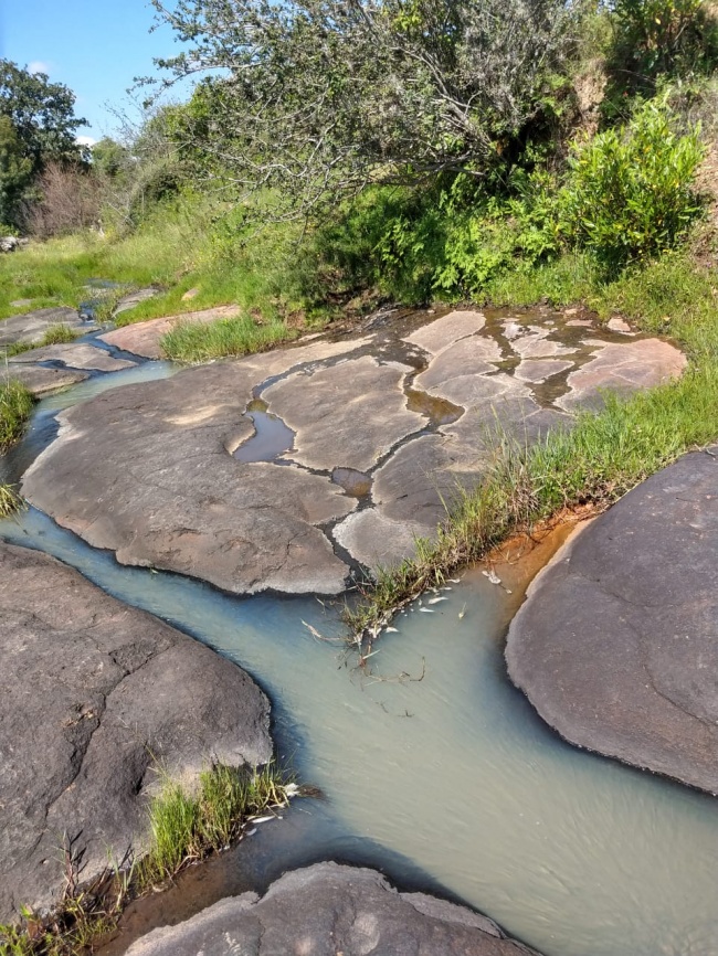 Azeneth Rivera Ríos 