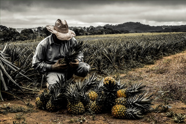 foto:Franklin Iván Vázquez Pérez - lo hecho en México