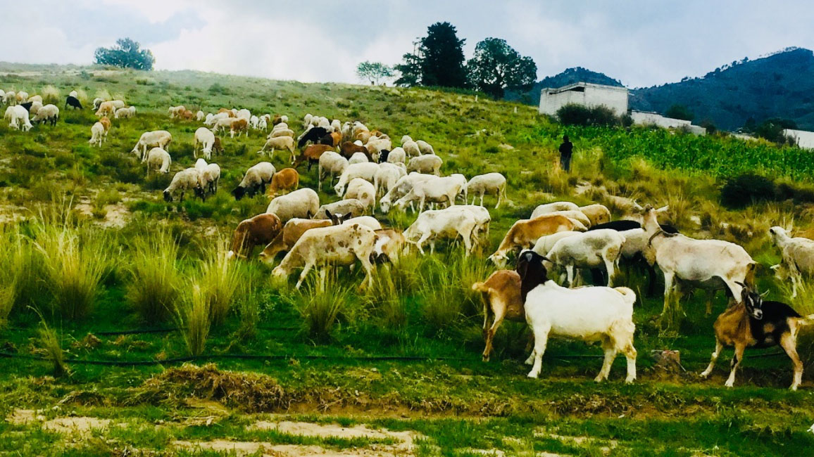 Laura Aguilar Torres 