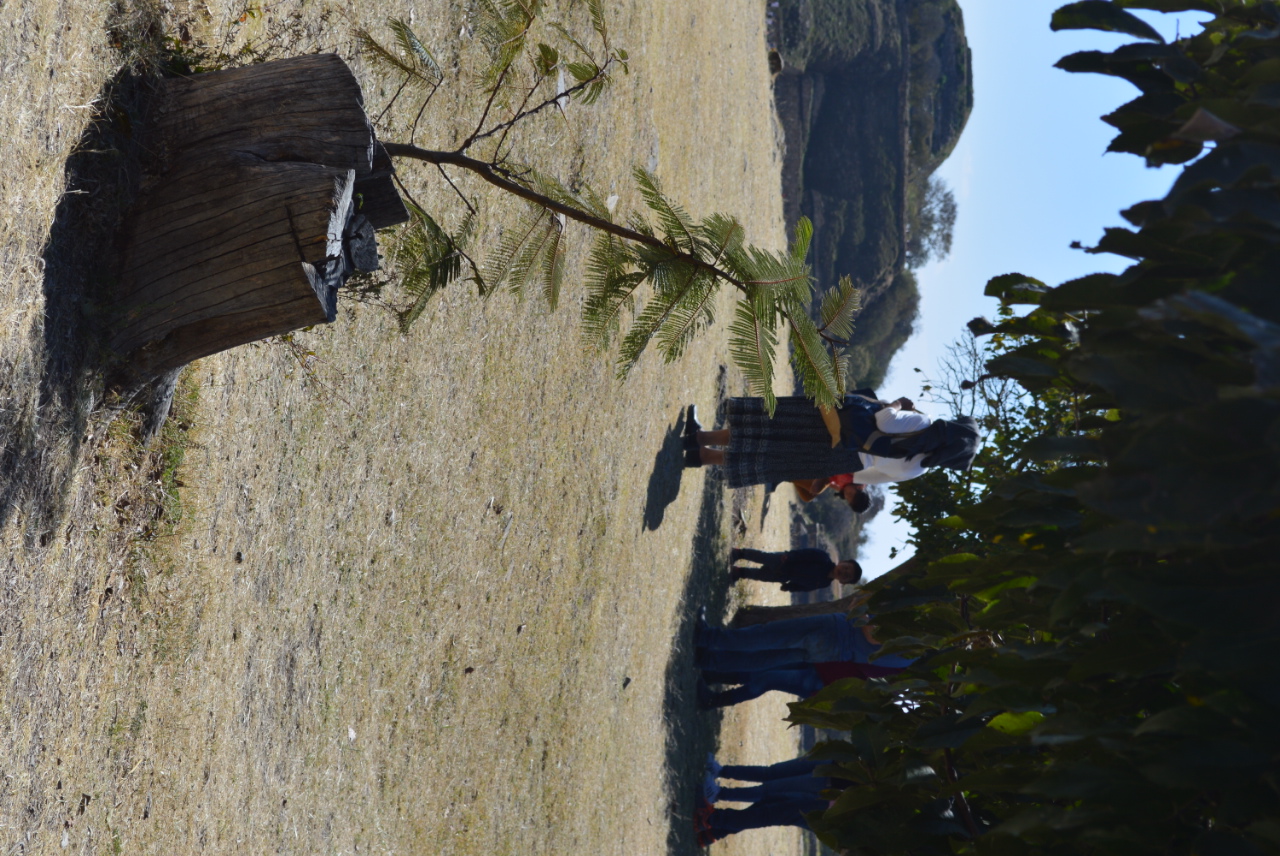 foto:Diana Aguilar Lozano - lo hecho en México