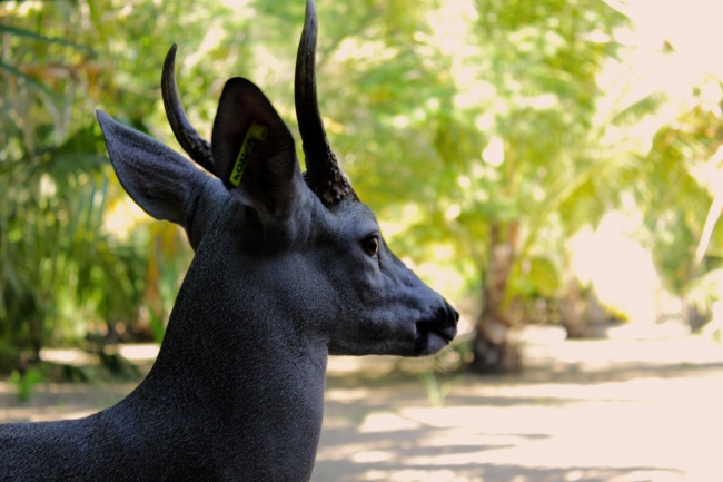 foto:Marco Antonio Torres Gutierrez - lo hecho en México