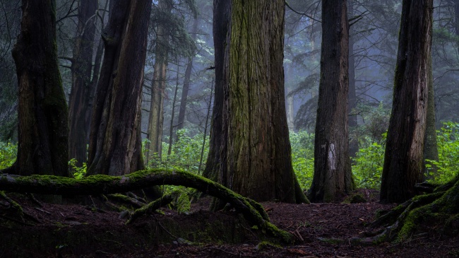 foto:Mariano Ariza Kelly - lo hecho en México