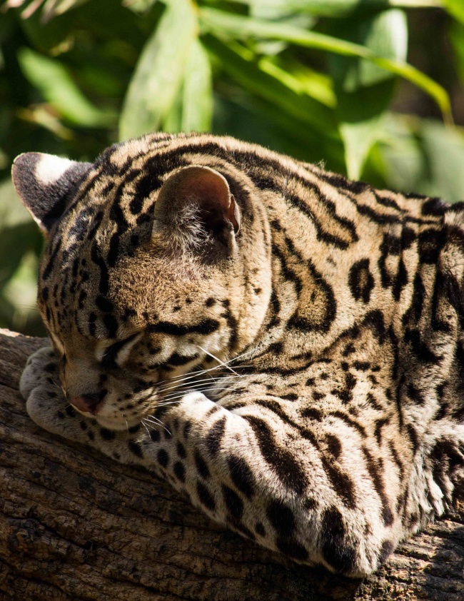 foto:JUAN CARLOS RAMÍREZ REVILLA - lo hecho en México