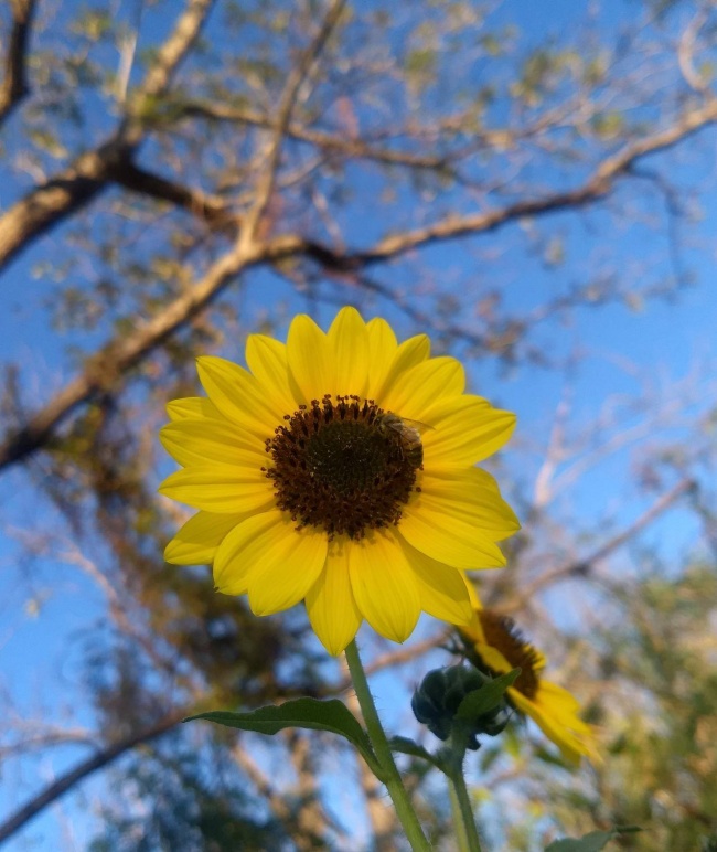 foto:Salazar Cortés Eugenia Itzel - lo hecho en México