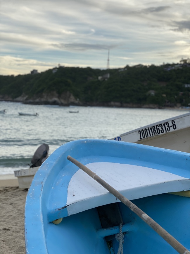 Liliana Carrillo Sarubbi 