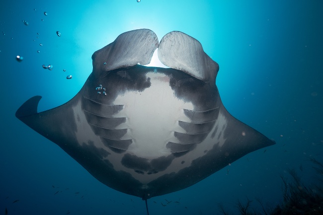 foto:LIzzet Filomeno Enciso - lo hecho en México