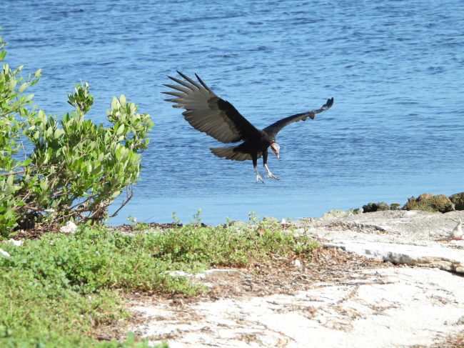 foto:Gabriel Esteban Ramírez Dzib - lo hecho en México