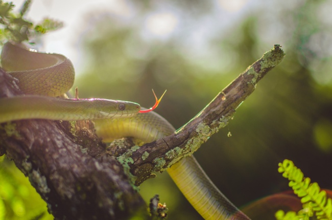 foto:Diego Alonso Báez Ruiz - lo hecho en México