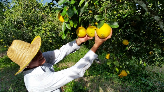 foto:Morales Zacapa - lo hecho en México
