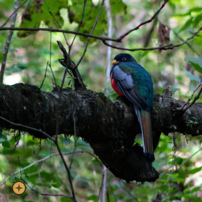 foto:Manuel Alvaro Rivera Rojas - lo hecho en México