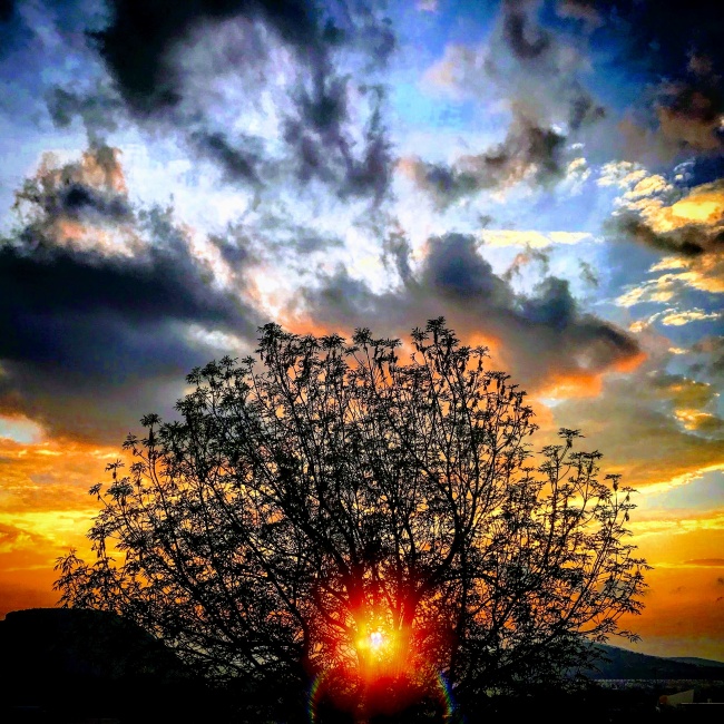 foto:Alessandra Samadhi Aguilar Usigli - lo hecho en México