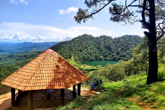 Francisco Mora Alcaraz 