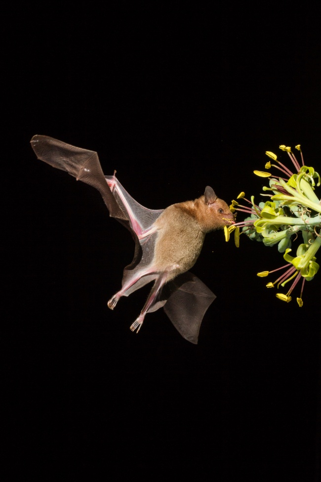 foto:Filiberto Moisés González Martín del Campo - lo hecho en México