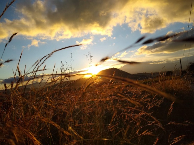 Alicia Berenice Mejia Rubio 