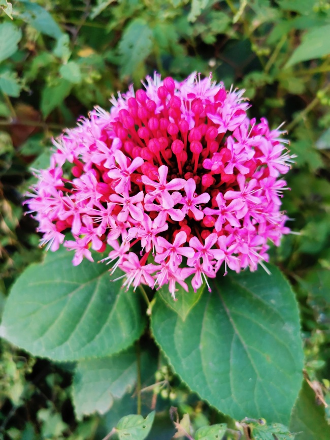 foto:Sergio Cruz Martínez - lo hecho en México