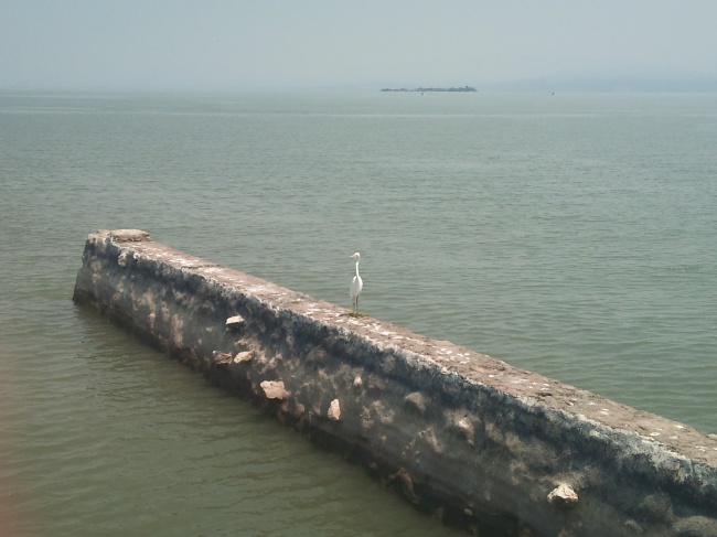 foto:Martin Limon Romero - lo hecho en México