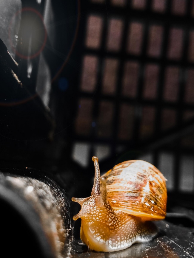 foto:Noemi Montserrat Aguilar López - lo hecho en México