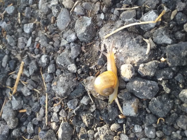 foto:Domores ruiz - lo hecho en México