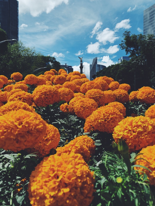 José Mateo Rodriguez Alvarez 