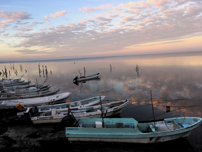 Óscar Miramontes Yllan 