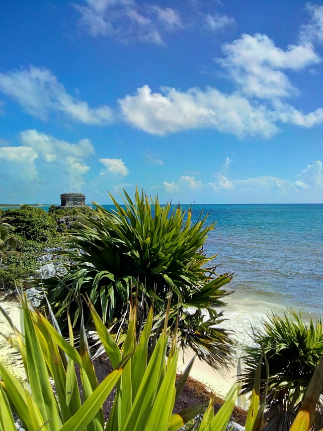 Zazil Mariana Aguilar Rodríguez 