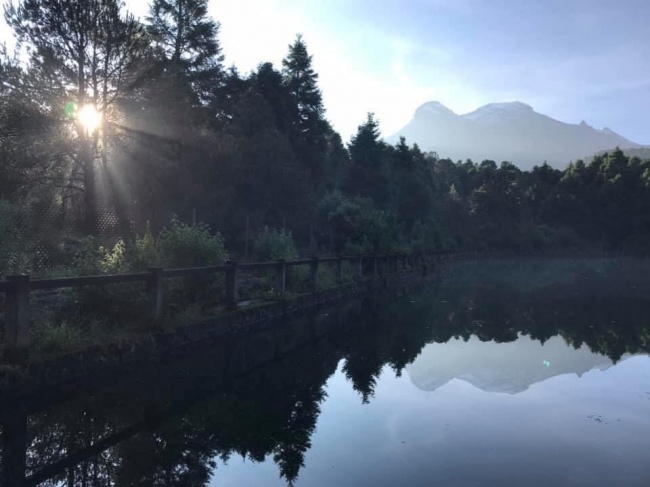 Irina Trujillo Hernandez 