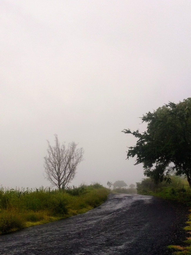 foto:José Israel Sánchez Díaz - lo hecho en México