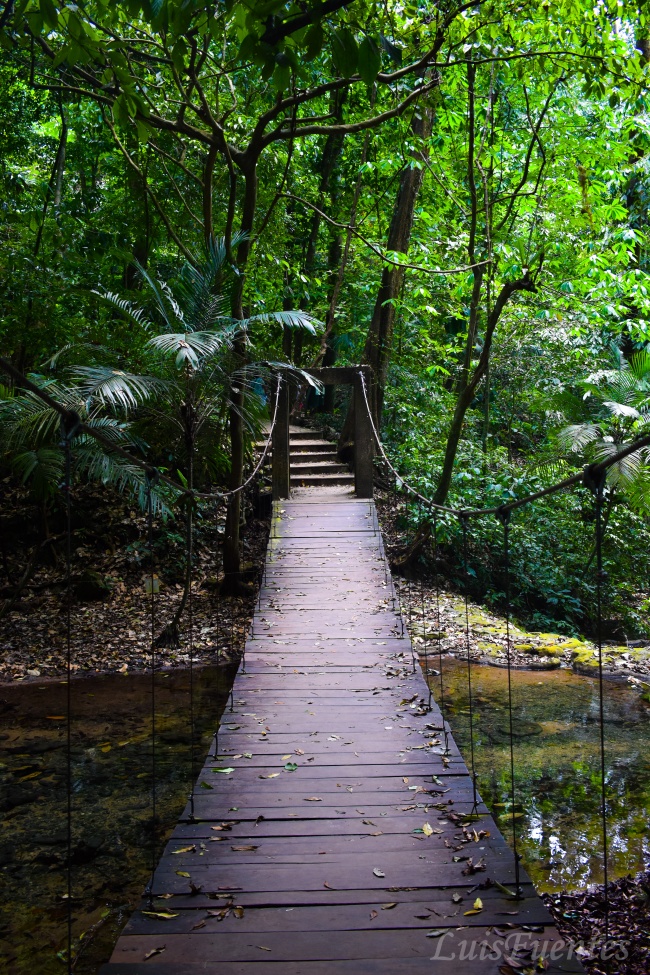 foto:JOSE LUIS GARCIA FUENTES - lo hecho en México