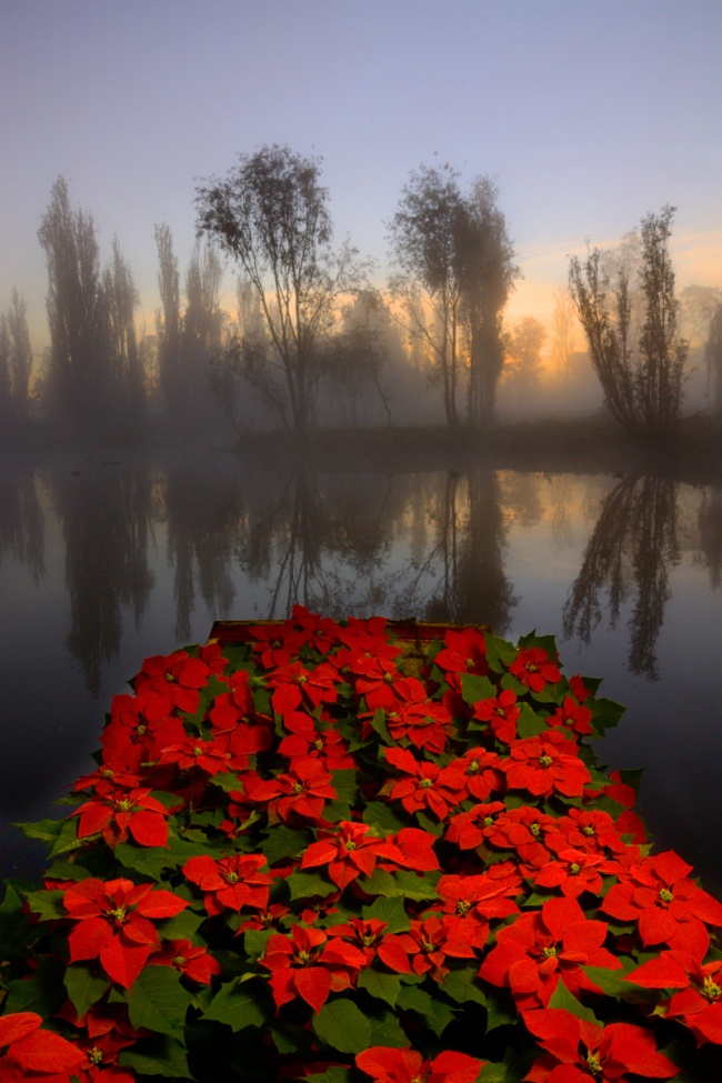 jesús eduardo lópez reyes 