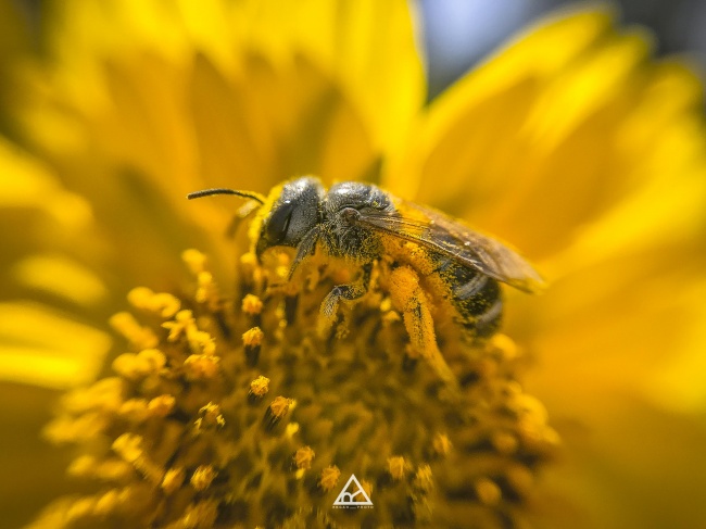 foto:RAYMUNDO GARCÍA HERRERA - lo hecho en México