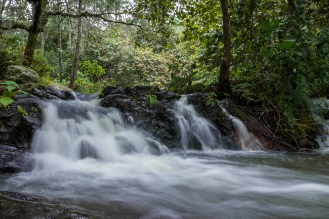 Nathanael Gómez Calderón 