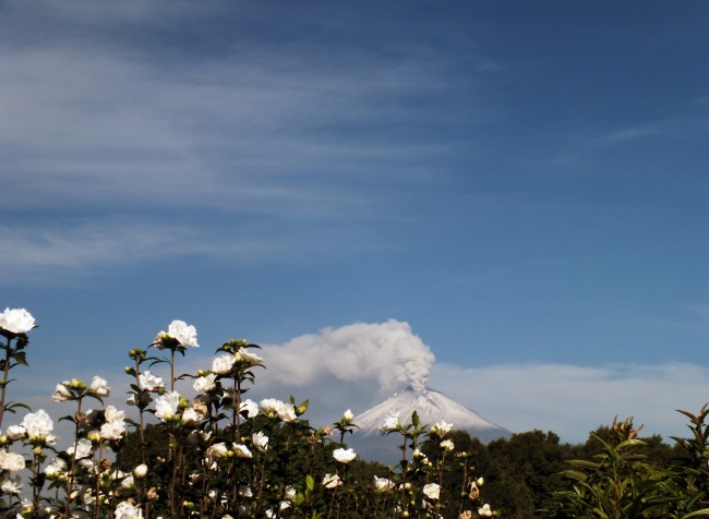 foto:sergio vargas acosta - lo hecho en México