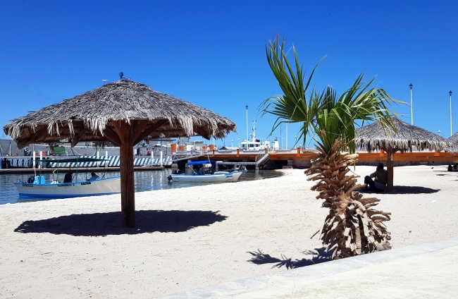 Sergio Ochoa Mayorga 