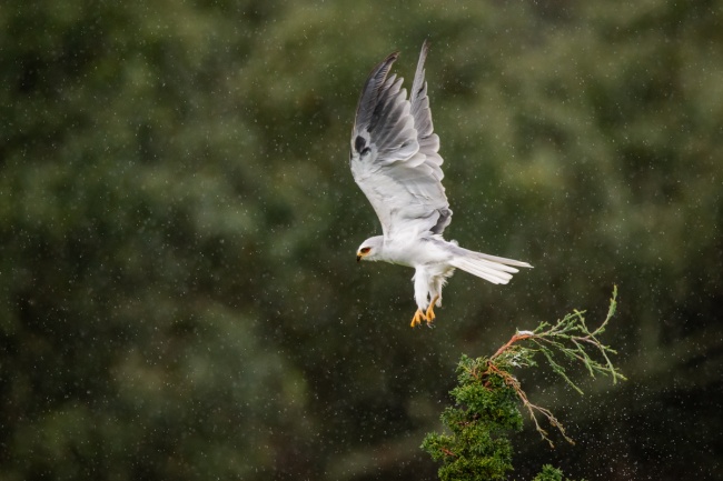 foto:Gerardo Guzmán Aguilar - lo hecho en México