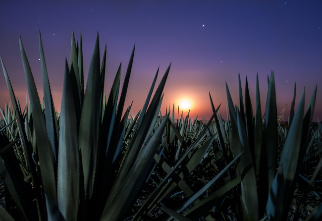 foto:Claudia Utrilla Sánchez - lo hecho en México