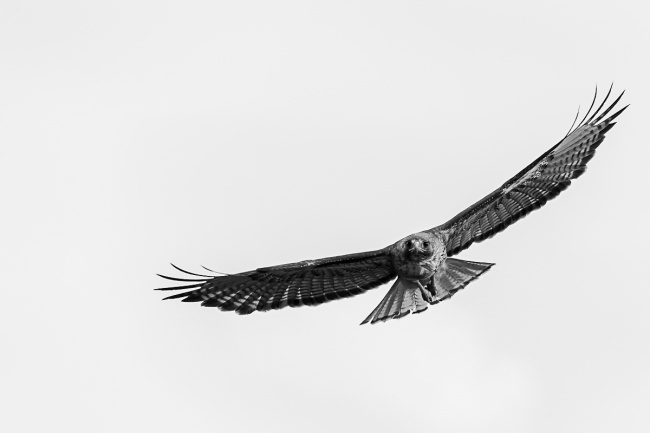 foto:Juan Diego Arias Montiel - lo hecho en México