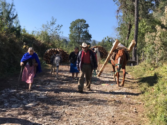 foto:Alberto Benítez Escamilla - lo hecho en México