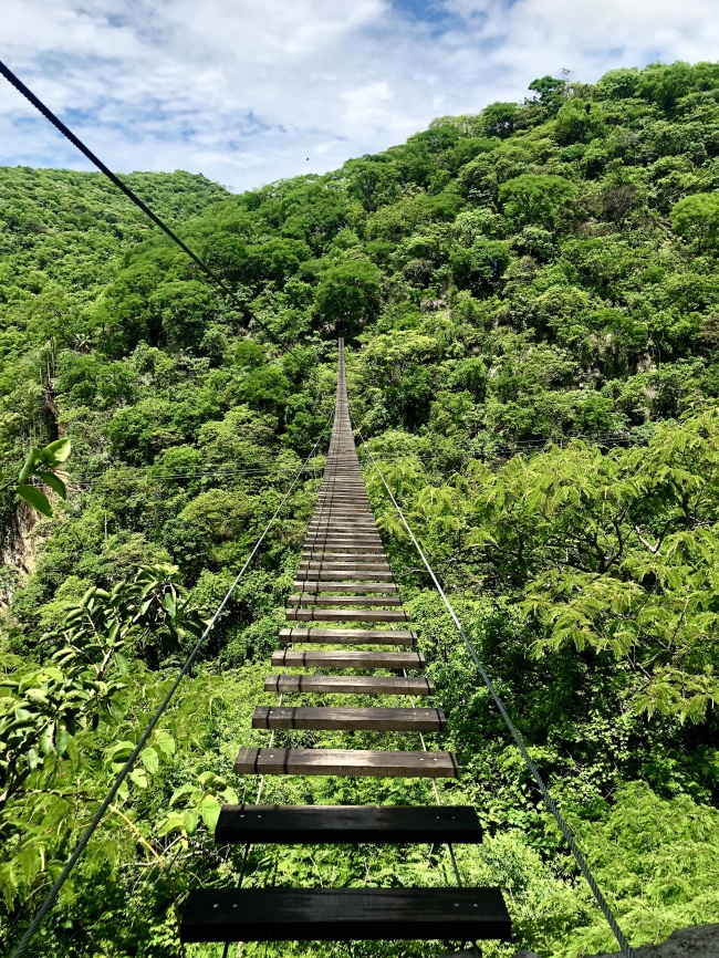 Indira Moreno Vargas 
