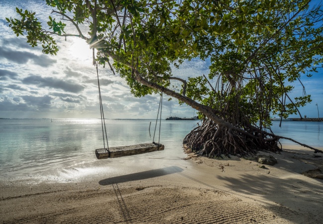 Samira Zaiter Gonzalez 