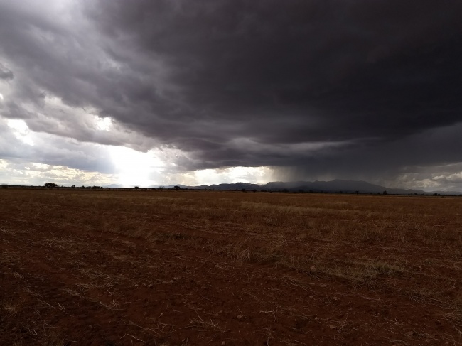 Pablo César Huerta Pacheco 