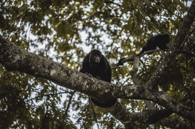 foto:CARLOS ALBERTO SÁNCHEZ ÁLVAREZ - lo hecho en México