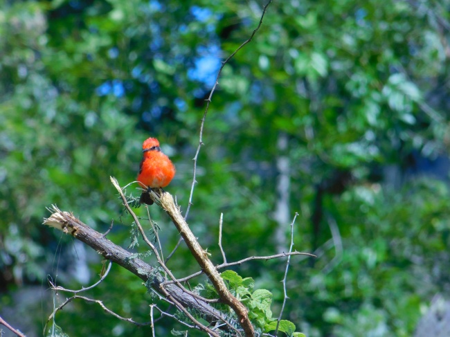 foto:María de Lourdes Reyes Hernandez - lo hecho en México