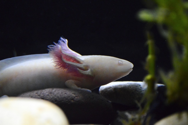 Emily Hernández Sánchez 