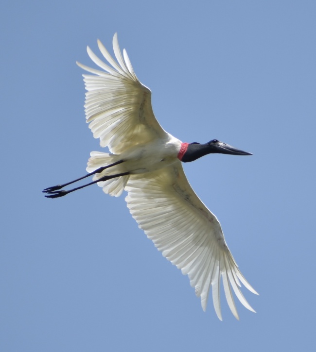 foto:Fausto Chi Rivas - lo hecho en México