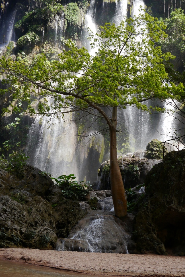 foto:ROSA MARIA MORALES ROMERO - lo hecho en México