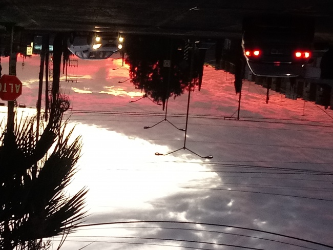 Guillermina García Rangel 