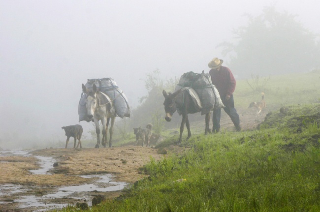 foto:Angel J. Gomez Martinez  - lo hecho en México