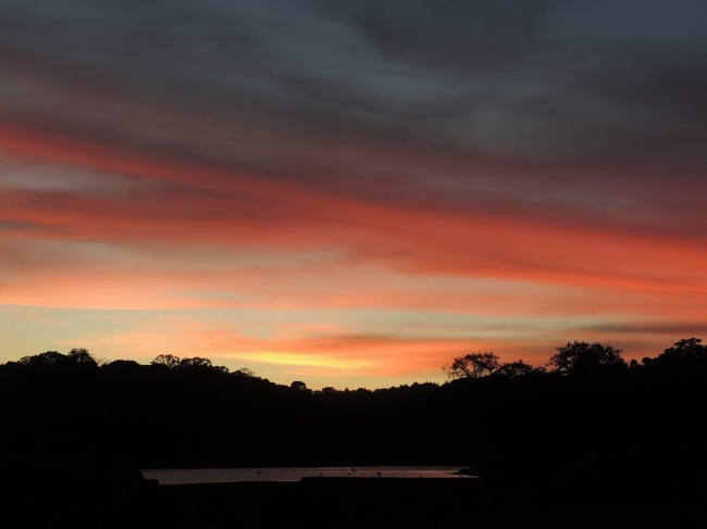 Jessica Y Vilchis Pérez 